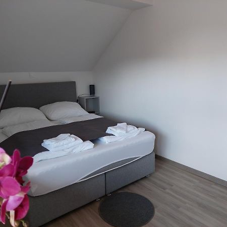 Apartment Trubarjeva33, Near Ljubljana, Free Parking Velike Lasce Exterior foto