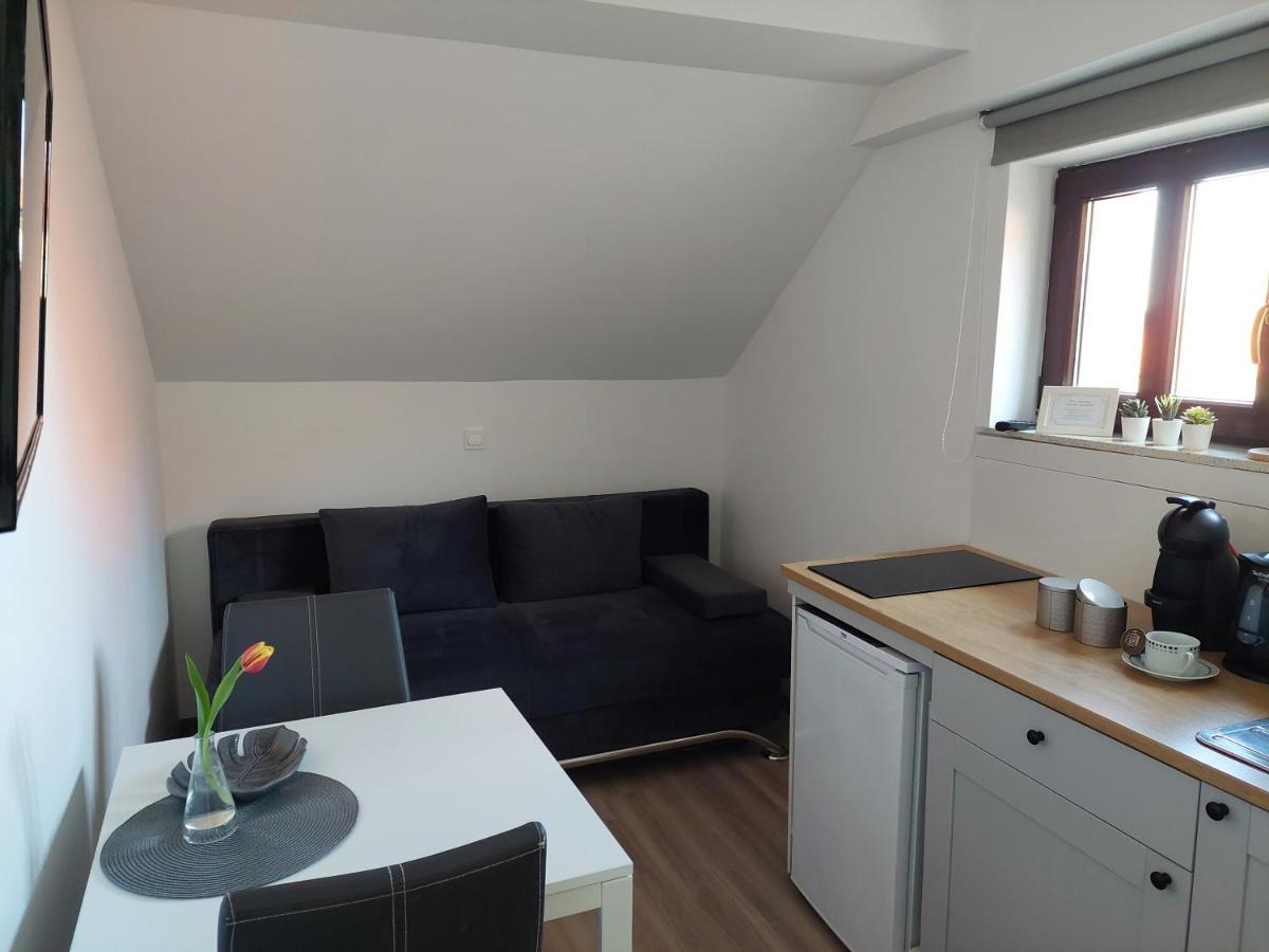 Apartment Trubarjeva33, Near Ljubljana, Free Parking Velike Lasce Exterior foto